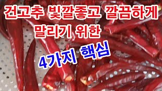 고추 빛깔 좋고 깔끔하게 말리기 위한 4가지핵심(고추 말리기,고추건조 방법, 고추 말리는 방법, 건고추 만들…