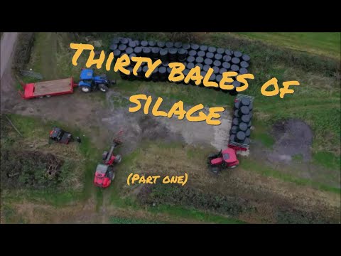 DREISSIG BALLEN SILAGE. Teil eins 24 11 21