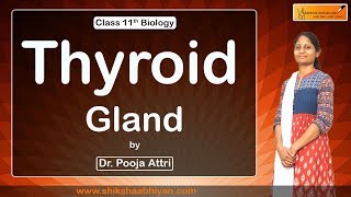 Chemical Coordination and Integration ( Thyroid Gland ) - #CBSE Class 11 Biology