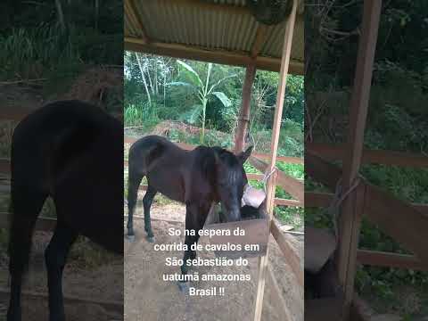 São sebastião do uatumã amazonas Brasil !!