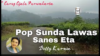 Download lagu Pop sunda lawas Detty Kurnia Terpopuler' Sanes Eta* dengan suasana wisata Curug Cijalu Purwakarta mp3