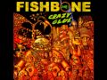 Fishbone Crazy Glue