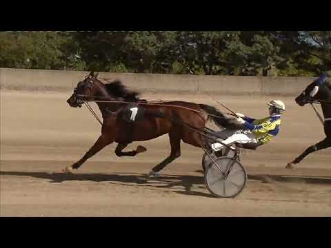 Ippodromo dei Sauri -  3' corsa del 29.9.2022