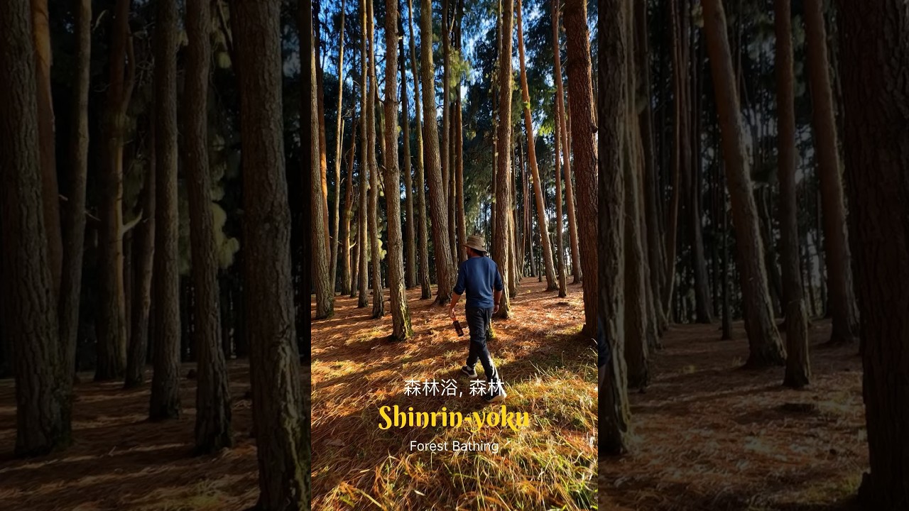 YouTube Short thumbnail