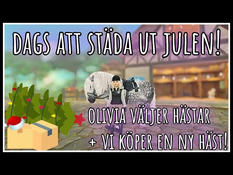 Dags att städa ut julen! Köper en ny häst!