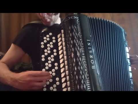 Borsini Professional (4/5 reeds, double tone chamber) "BINCI" accordion