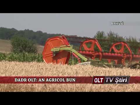 DADR OLT AN AGRICOL BUN 2012