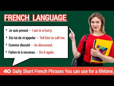 Learn French : 40 Daily Short French Phrases You can use for a lifetime.