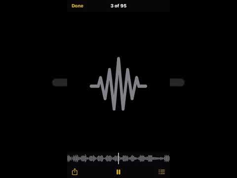 Shawny Binladen x FOUR50 - Jungle UNRELEASED