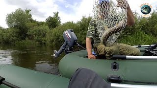 Отчеты о рыбалке в калининградской области сегодня