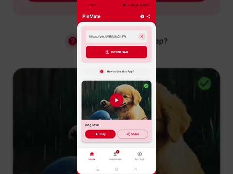 Pins Video Downloader & Saver