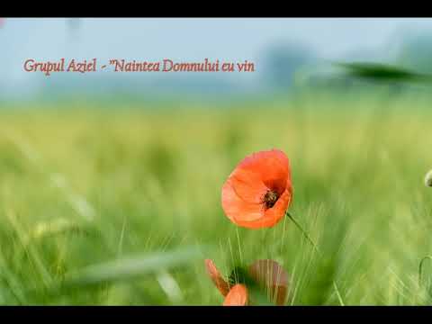 ‘Naintea Domnului eu vin - video
