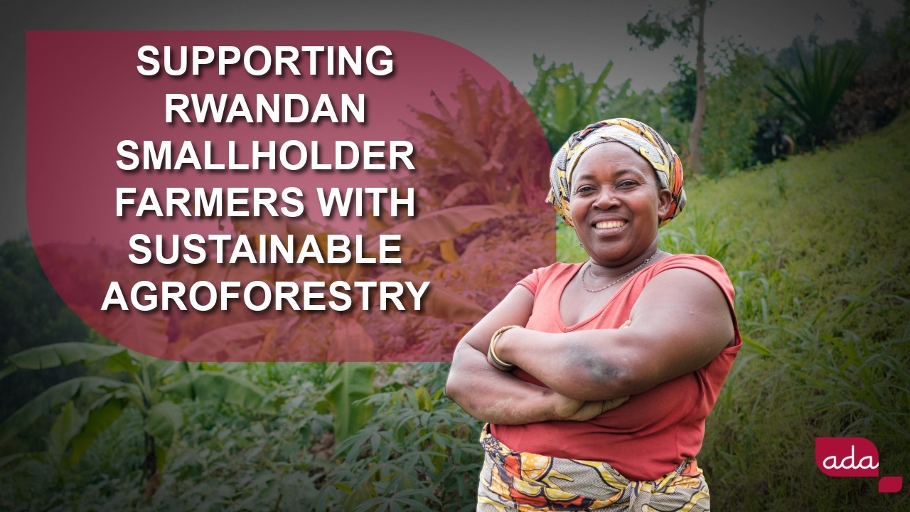 Supporting Rwandan smallholder farmers with sustainable agroforestry