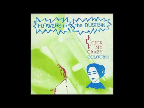 Flowers In The Dustbin - Stranger In A Strange Land