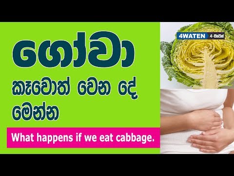 ගෝවා කෑවොත් වෙන දේවල් මෙන්න : Benefits of Cabbage