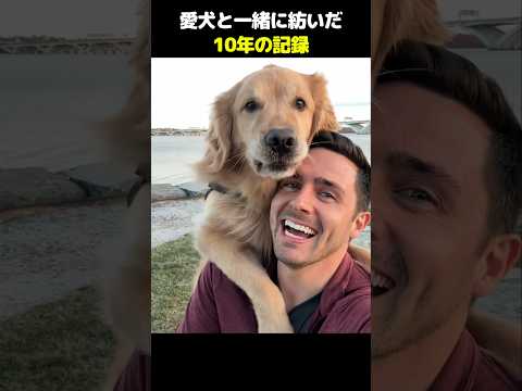 愛犬と一緒に紡いだ10年の記録