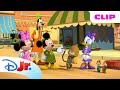 Mickey Mouse Funhouse Daisy Chip Dale S Bollywood Dance Off For The Golden Mango Disneyjr