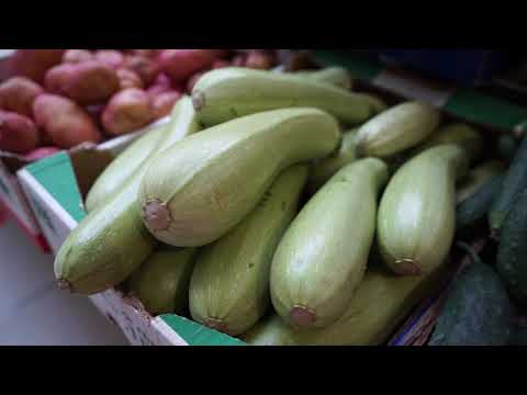 "Palilulska pijaca u svom sjaju"