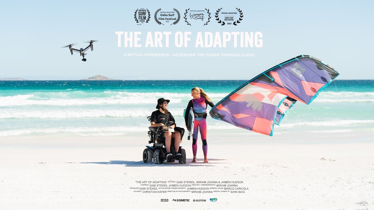 The Art of Adapting