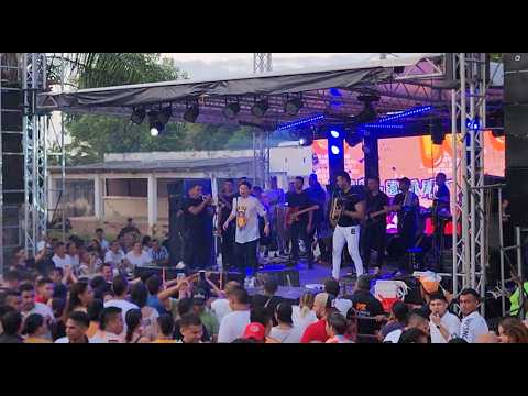 Mono Zabaleta - Desorden de carnaval