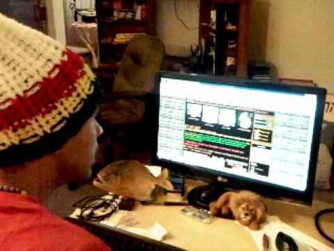 Steve Steppa pon THE DUBARK