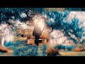 Siiba Ntashida Official Video
