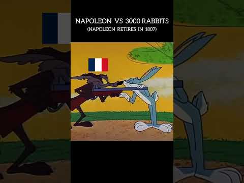 NAPOLEÓN VS CONEJOS #divertido #memes #chistes #comedia #risas #gracioso #historia