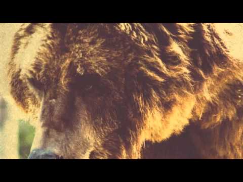 Deneha - Yao Bay (Original)