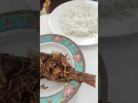 #2ndday of Maldives #minivlog #lifeisbutadream #bangladesh #travel