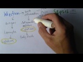 Sepsis 1 Infection And Response