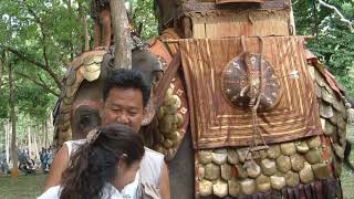 ช้างจากวังช้างอยุธยา แล เพนียดแสดงภาพยนตร์อเล็กซานเดอร์มหาราช  ของผู้กำกับ โอริเวอร์สโตน