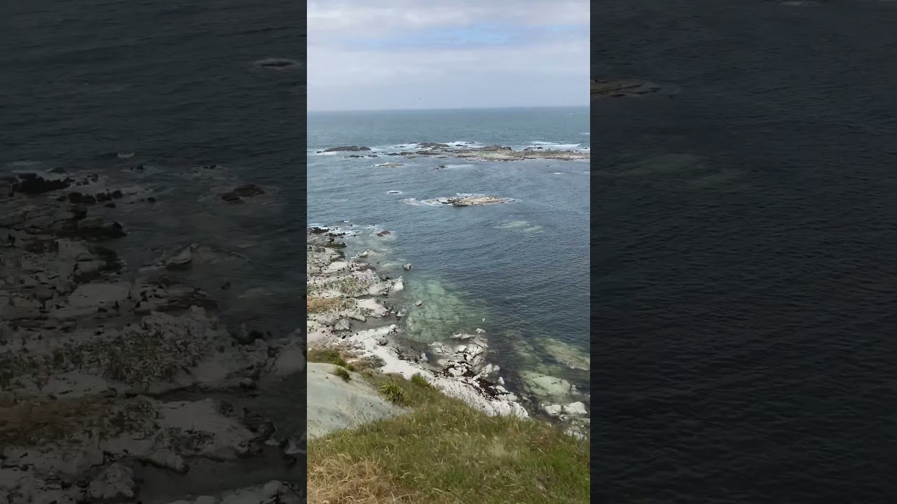 YouTube Short thumbnail