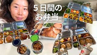 🇦🇺海外主婦Vlog｜5日間のお弁当、中身公開🍱