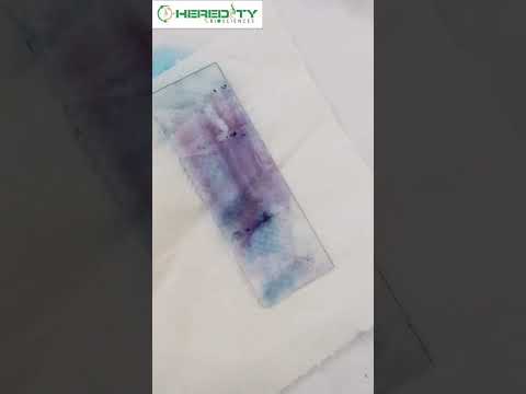 Fields Stain B Solution 125ml