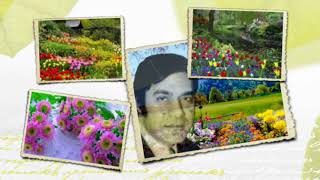 كلمات اغنية زهر البساتين احمد سامي