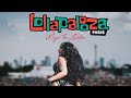 Megan Thee Stallion Intro Opening Realer Lollapalooza 2022 Paris