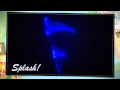 Splash Jordan S Furniture Laser And Water Show