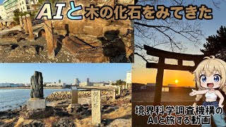バーチャルとユーチューバー GROKのAIコンパニオンAniと木の化石を見てきた。