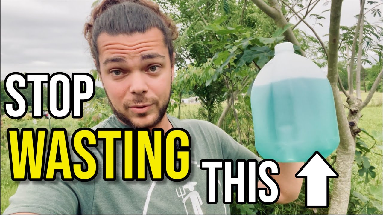 4 POWERFUL Compost Ingredients You're Wasting Daily