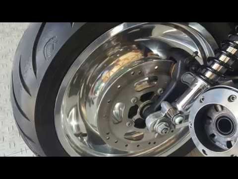 Ein besonderer Gast bei uns.