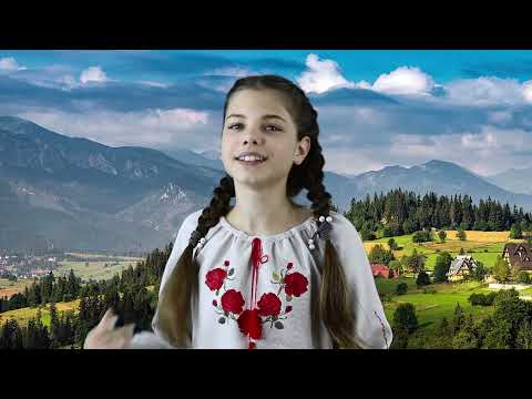 Запись и обработка звука, видеосъёмка, монтаж.