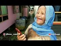 Film Komedi NENEK Sambas Eps 29 PARODI RUU KUHP Part 2