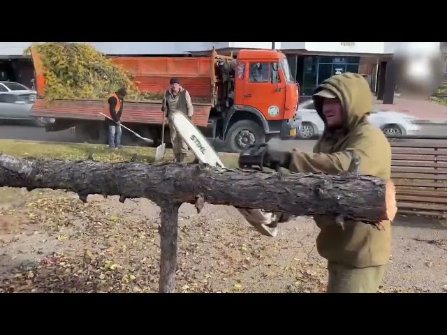 Иркутскую область настиг настоящий ураган