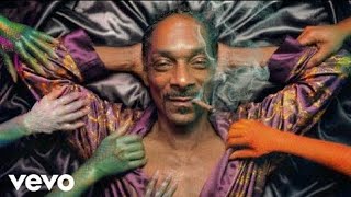 Snoop Dogg - The Widow (Ft Rihanna Official Music Video) MQDEFAULT Thumbnail