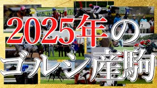 【競馬】2025年ゴールドシップ産駒の活躍集～全35頭～／メイショウタバル,マイネルエンペラーほか