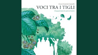 Download lagu Mawar Putih mp3 Download lagu Mawar Putih mp3