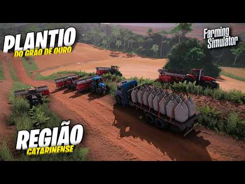 Plantio Do Grão De Ouro | Região De Santa Catarina | Farming Simulator 22 Simulando Vida Real