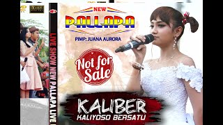 Download lagu 🔴 LIVESTREAM - NEW PALLAPA KALIBER 2018 - KALIYOSO UNDAAN KUDUS mp3 Download lagu 🔴 LIVESTREAM - NEW PALLAPA KALIBER 2018 - KALIYOSO UNDAAN KUDUS mp3