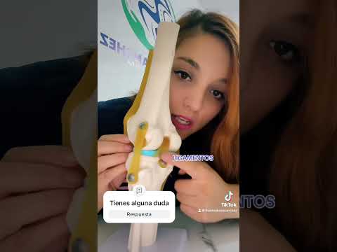 Melissa Sánchez-10