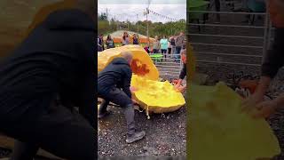 Eles DESTROEM a maior abóbora do mundo… e o motivo é chocante  #shortsfeed